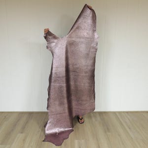 May include: A large, irregularly shaped piece of mauve-colored leather. The leather has a shiny, textured surface and is held up against a white wall. The edges of the leather are uneven, showing its natural form. The leather is displayed vertically.