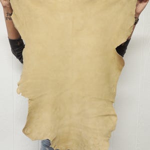 May include: A large, irregularly shaped piece of tan-colored leather. The leather has a natural, unfinished appearance with visible texture and variations in color. The edges are uneven, suggesting it is a hide. The leather is being held up against a white background.