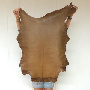 May include: A large, irregularly shaped piece of tanned leather in shades of brown. The leather is held up against a white background, showcasing its natural texture and color variations. The edges are uneven, suggesting a raw, unfinished state.