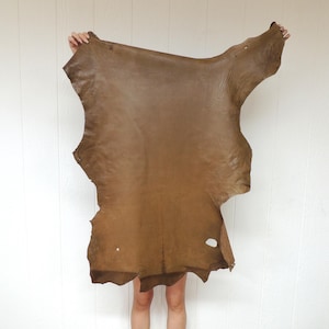 May include: A large, irregularly shaped piece of brown leather is held up against a white background. The leather has a natural, organic shape with a slightly textured surface and varying shades of brown. The edges are uneven.