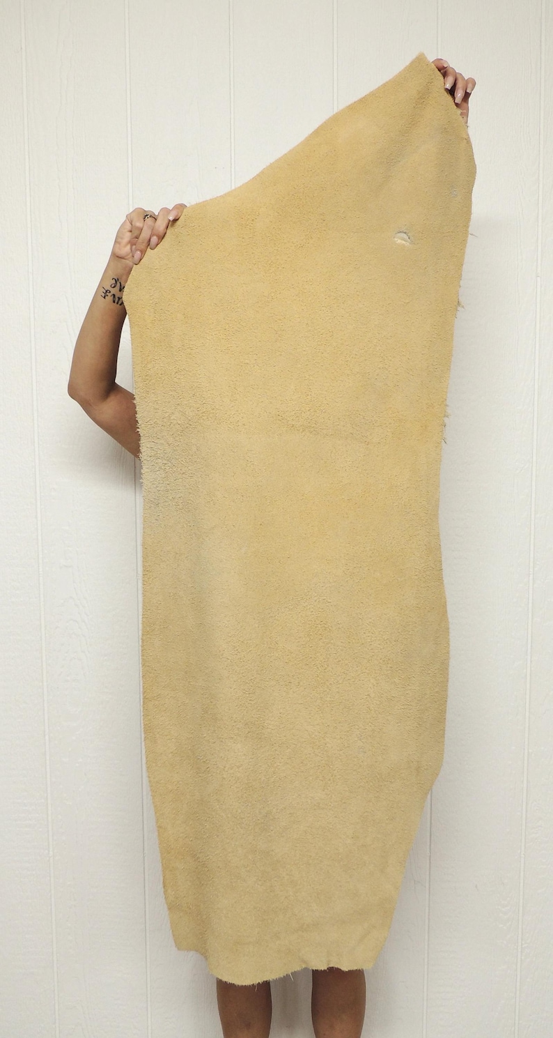 May include: A large, rectangular piece of tan-colored leather is held up against a white wall. The leather has a rough, textured surface and a natural, organic appearance. The edges are uneven.