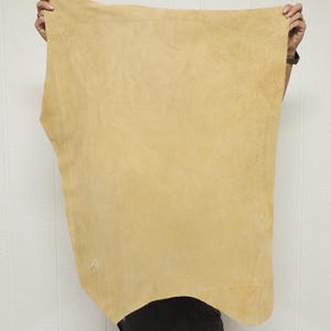 May include: A large, irregularly shaped piece of tan-colored leather is held up against a white background. The leather has a soft, suede-like texture and appears to be a single hide. The edges are uneven, showing the natural shape of the material.
