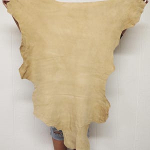 May include: A large, irregularly shaped piece of tan leather is held up against a white background. The leather has a soft, suede-like texture and varying shades of tan. The edges are uneven, suggesting it's a natural hide.