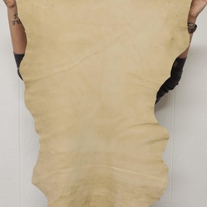 May include: A large, irregularly shaped piece of tan-colored leather. The leather is held up against a white background, showcasing its natural texture and color variations. The hide appears to be soft and pliable.