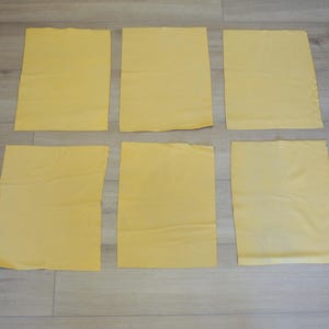 May include: Six rectangular sheets of yellow lasagna noodles.