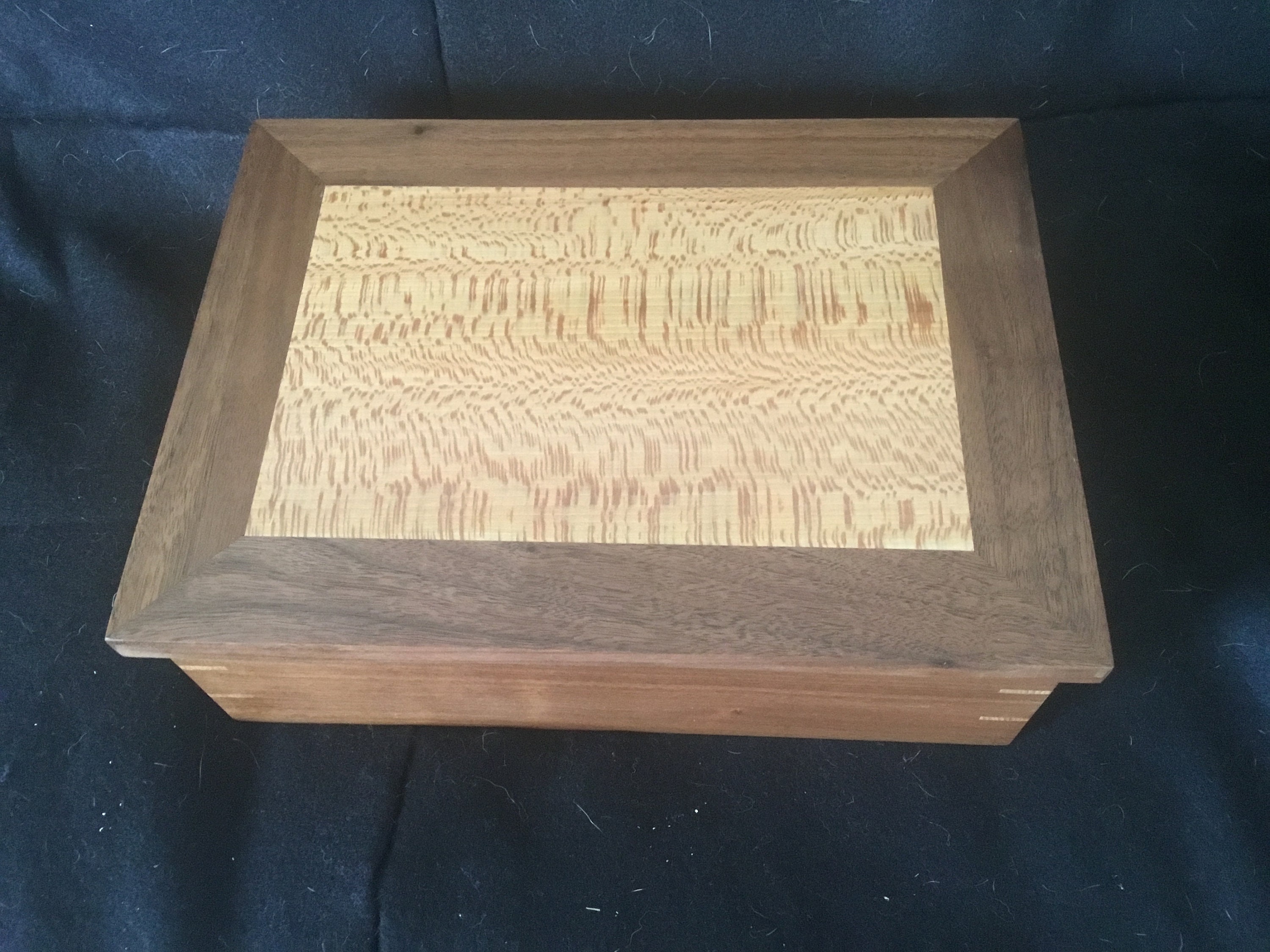 Walnut & Sycamore Jewelry Box - Etsy Israel
