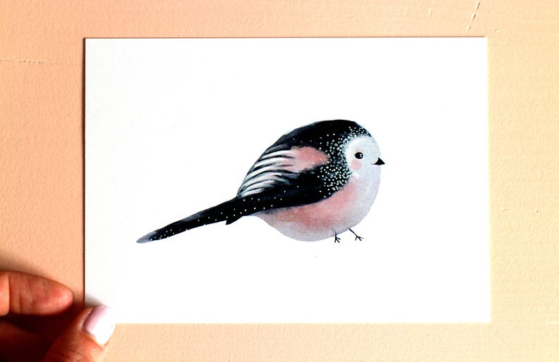 Stationary Cute bird Home deco garden card Birthday Love Anniversary Pink her him Blanco Kawaii Cute Long-tailed Tit Card