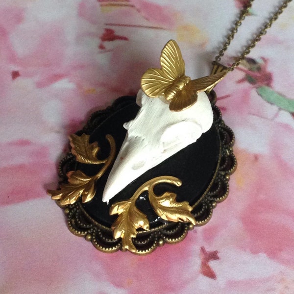 Collier beau pendentif crane d'oiseau cabinet de curiosite