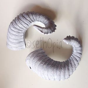 Pairs of white horns