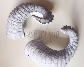 Pairs of white horns