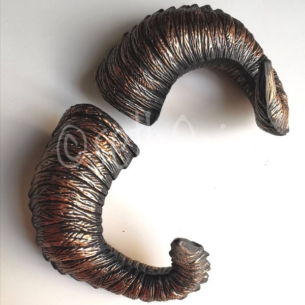 Pair of copper horns