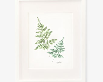 Watercolor Ferns Print - Maidenhair - Botanicals