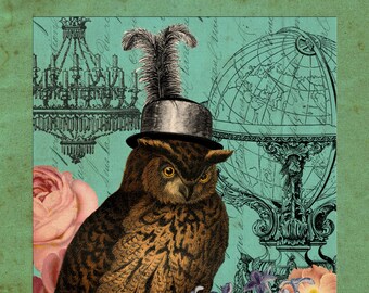 Female Owl, Steampunk Female, Female Steampunk, Owl Female, Steampunk Owl, Owl Collage, Owl Steampunk, Steampunk Collage, Collage Owl, Print