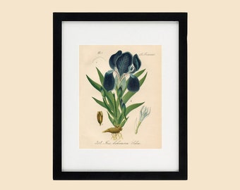11x14 Frame, Wood Frame, Black Frame, 11x14 Wood Frame, 11x14 Black Frame, Wood Frame Black 11x14, 11x14 Black Wood Frame, Black Wood Frame