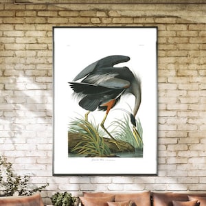 Great Blue Heron, Art Print, Blue Heron, Great Heron, Audubon Great Blue Heron, Audubon Blue Heron, Audubon Heron, Heron Blue, Great Blue