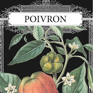 Bell Pepper, Pepper Bell, French Pepper, Pepper French, French Bell, French Botanical, Vegetable Print, Botanical Prints, Poivron Art Print