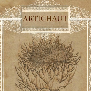 Artichoke Drawing, Artichoke French, French Artichoke, Artichoke Botanical, Botanical Art, Artichoke Art, French Art, Artichoke Print, Art