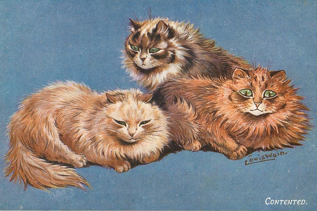 Louis Wain, Cat Drawing, Louis Cat, Louis Drawing, Cat Louis, Wain