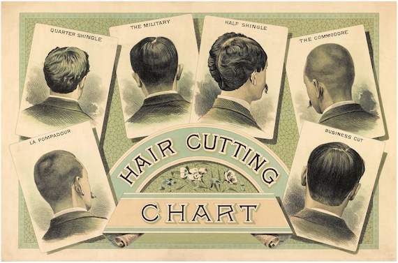 Barber Hairstyles Chart