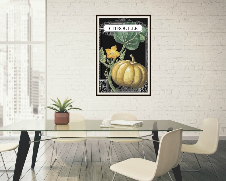 Pumpkin Drawing Pumpkin French Botanical Illustration Pumpkin Illustration French Pumpkin Print Botanical Pumpkin French Illustration