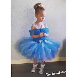 Princess Blue Tulle Tutu Dress: Butterfly Sleeved Costume