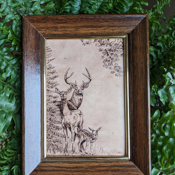 Pen and Ink White Tailed Deer Drawing Print 5x7 Vintage -Like Nerdy Nature Picture