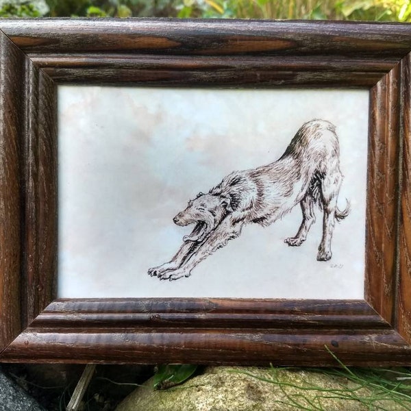 Pen and Ink Irish Wolfhound Hound Yawning Drawing Print 5x7 Vintage -Like Hunting Dog Picture