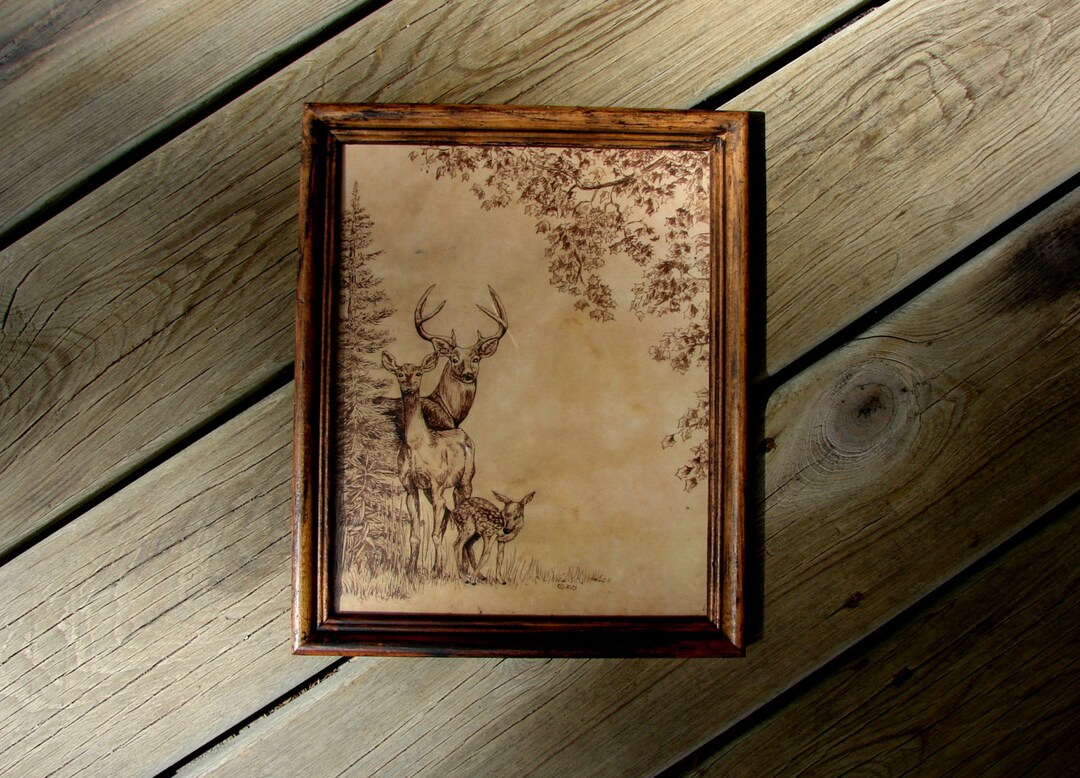Pen and Ink White Tailed Deer Family Print 8x10 Vintage -Like Nerdy Science Hunting Picture