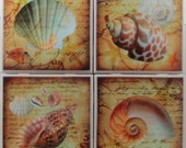 Ceramic Coaster - Sea Shells - Set of 4 Personalized Coaster - Drink Coaster - Cup Coaster - Stone Coaster - Tile Coaster - Marble Coaster