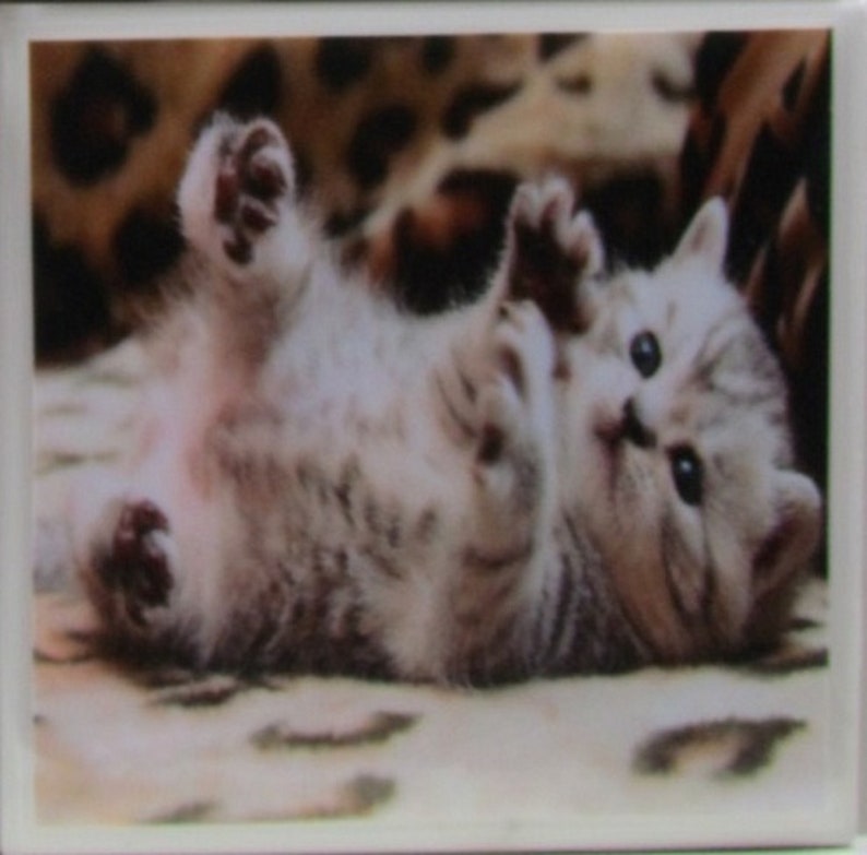Set of 4 Personalized Coaster Marble Coaster Ceramic Coaster Bar Coaster Cats Stone Coaster Monogram Coaster Cup Coaster