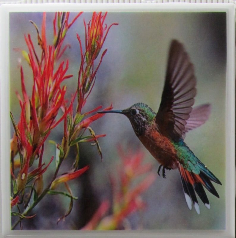 Monogram Coaster Ceramic Coaster Hummingbirds Drink Bar Coaster Personalized Ceramic Tile Coaster Set of 4 Stone Coaster