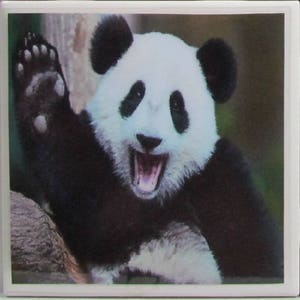 May include: A black and white panda bear with a big smile, waving with its left paw. The panda is in a natural setting with green foliage in the background.