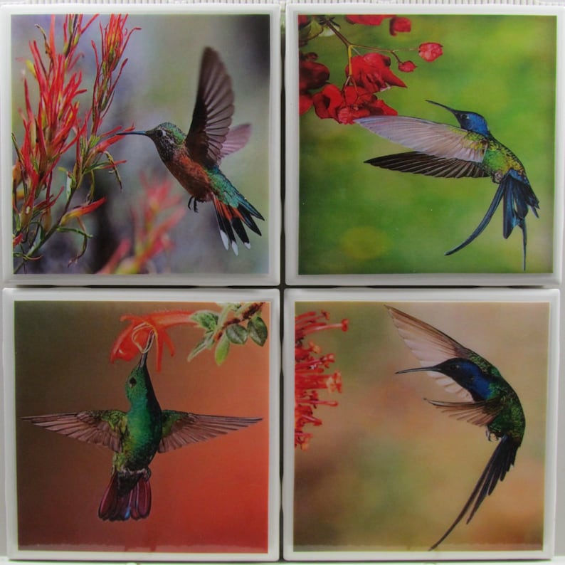 Monogram Coaster Ceramic Coaster Hummingbirds Drink Bar Coaster Personalized Ceramic Tile Coaster Set of 4 Stone Coaster