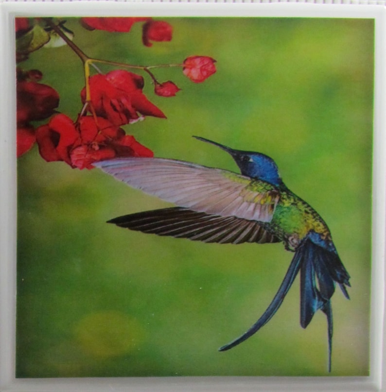 Monogram Coaster Ceramic Coaster Hummingbirds Drink Bar Coaster Personalized Ceramic Tile Coaster Set of 4 Stone Coaster