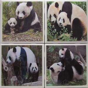 Tile Coasters - Panda Bear - Set of 4 - (Buy 2 Sets - Get 1 Set Free) Coaster Set, Ceramic, Personalized, Coasters, Marble