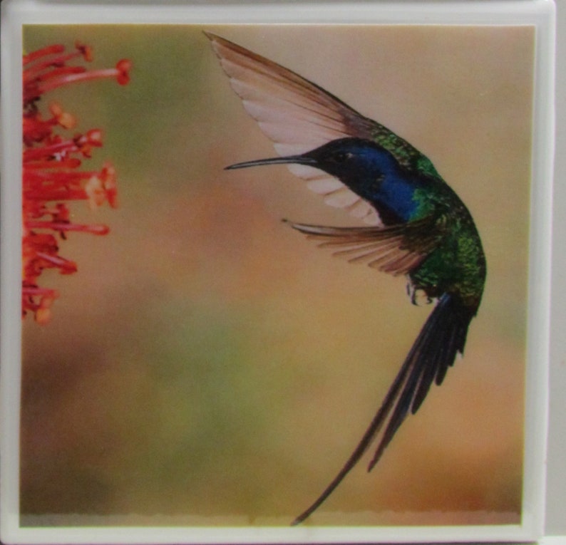 Monogram Coaster Ceramic Coaster Hummingbirds Drink Bar Coaster Personalized Ceramic Tile Coaster Set of 4 Stone Coaster