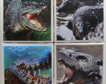 Fliesenuntersetzer - Gators - 4er Set - (2 Sets kaufen - 1 Set kostenlos erhalten) Untersetzer Set, Keramik, personalisiert, Untersetzer, Marmor