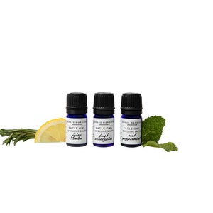 Ensemble d&#39;inhalateurs d&#39;huiles essentielles | Inhalateur d&#39;aromathérapie | Inhalateur nasal d&#39;aromathérapie | Inhalateur d&#39;eucalyptus| Inhalateur nasal d&#39;huiles essentielles| Aromathérapie