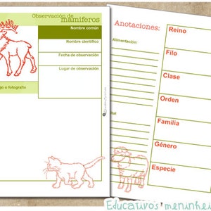 Cuaderno de campo imprimible para niños español imagen 6