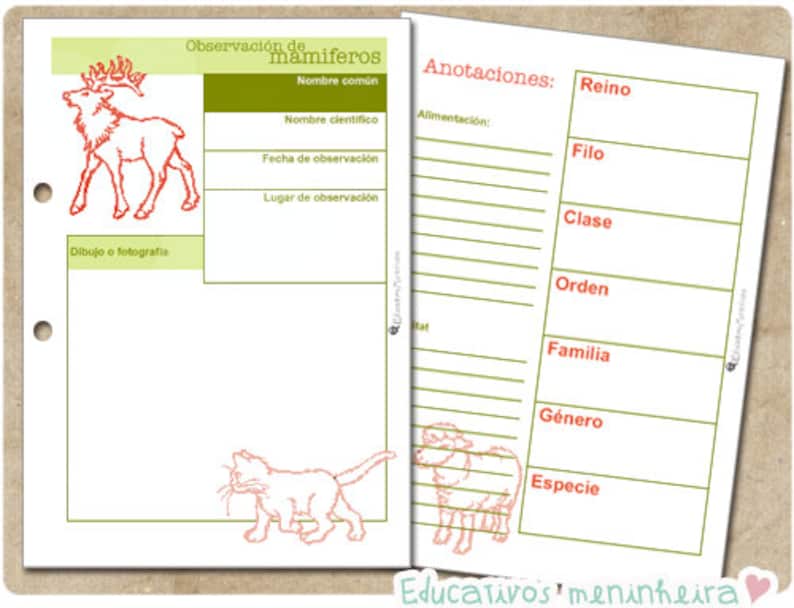 Cuaderno de campo imprimible para niños español imagen 6