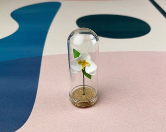 White Orchid - Mini Paper Flower in a Tiny Glass Dome - Orchid