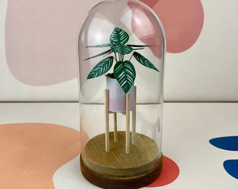 Pinstripe Calathea - Mini Paper Plant Sculpture in a Glass Dome with Wood Base - Calathea Ornata