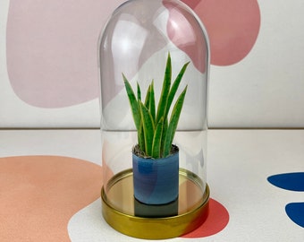 Snake Plant - Mini Paper Plant Sculpture in a Glass Dome with Gold Base - Sansevieria