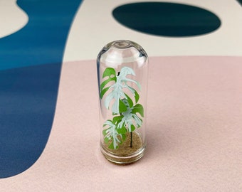 Monstera Deliciosa Albo Variegata- Mini Paper Plant in a Tiny Glass Dome - Monstera