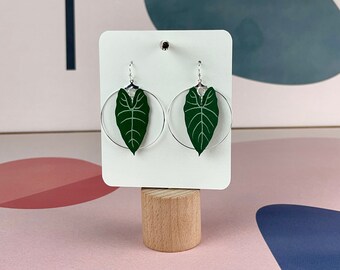 Alocasia Frydek Plant Earrings - Silver Circle Earrings - Gift for Her - Earrings - Plant Earrings - Alocasia