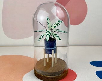 Stromanthe Triostar - Mini Paper Plant Sculpture in a Glass Dome with Wood Base - Tricolor Stromanthe