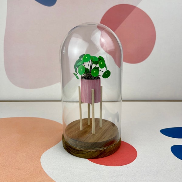 Chinese Money Plant - Mini Paper Plant Sculpture in a Glass Dome with Wood Base - Pilea Peperomioides