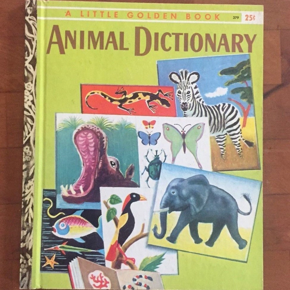 When The Fires Came Loose Books Online Bedtime Tales