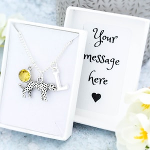 Leopard Necklace, Snow Leopard Necklace, Cheetah Necklace, Big Cats Gift, Personalised With Initial And Birthstone, Silver Chain Or Cord