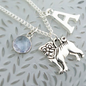 May include: Silver necklace with a light blue gemstone, a silver pug charm, and a silver letter A charm.